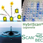 HybriScan-Legionella